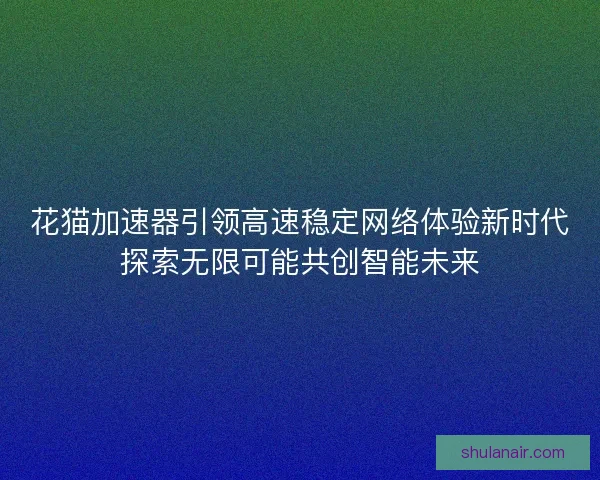 花猫加速器引领高速稳定网络体验新时代探索无限可能共创智能未来