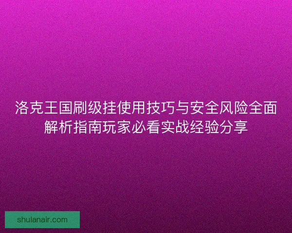 洛克王国刷级挂使用技巧与安全风险全面解析指南玩家必看实战经验分享