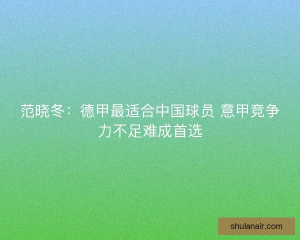 范晓冬：德甲最适合中国球员 意甲竞争力不足难成首选
