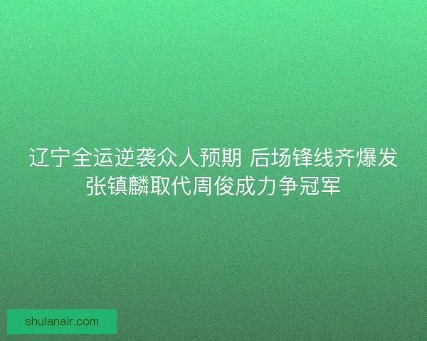 辽宁全运逆袭众人预期 后场锋线齐爆发张镇麟取代周俊成力争冠军